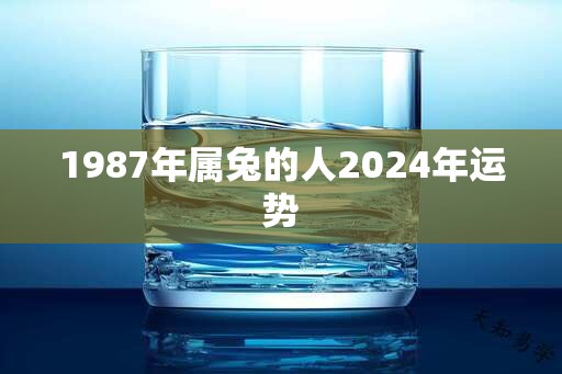 1987年属兔的人2024年运势