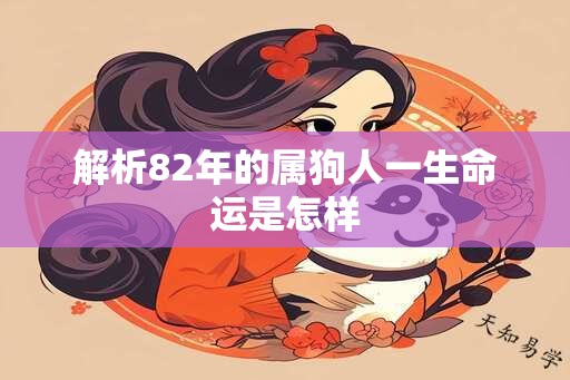 解析82年的属狗人一生命运是怎样