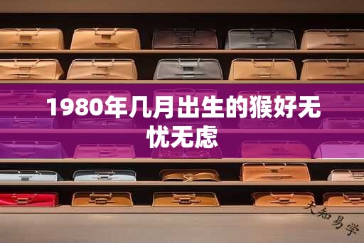 1980年几月出生的猴好无忧无虑