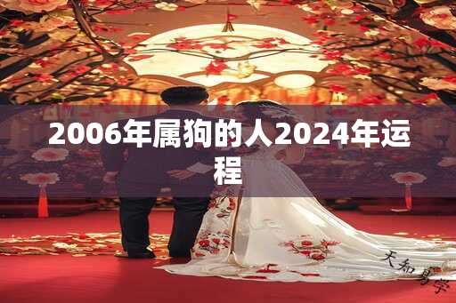 2006年属狗的人2024年运程