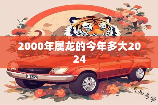 2000年属龙的今年多大2024