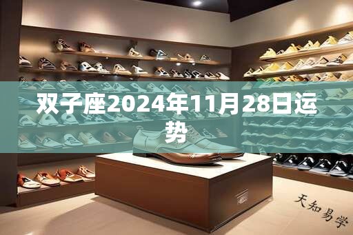 双子座2024年11月28日运势