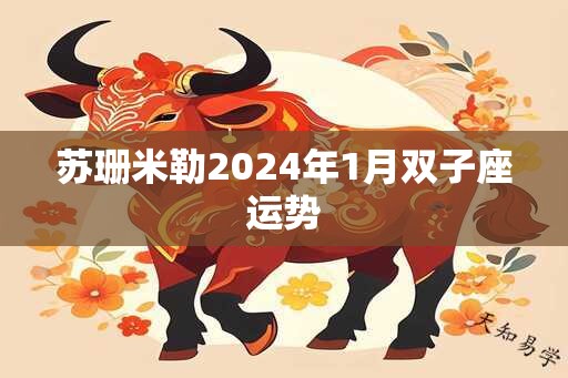 苏珊米勒2024年1月双子座运势