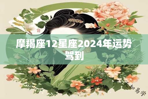 摩羯座12星座2025年运势驾到