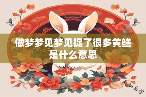 做梦梦见梦见捉了很多黄鳝是什么意思