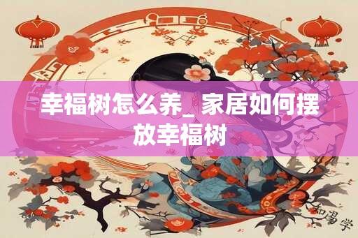 幸福树怎么养_ 家居如何摆放幸福树