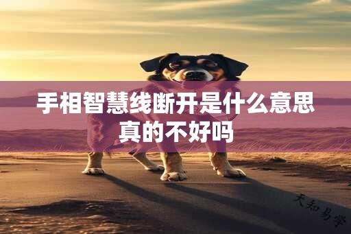 手相智慧线断开是什么意思真的不好吗