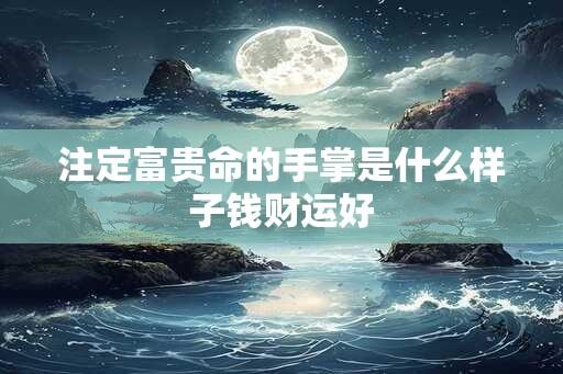 注定富贵命的手掌是什么样子钱财运好