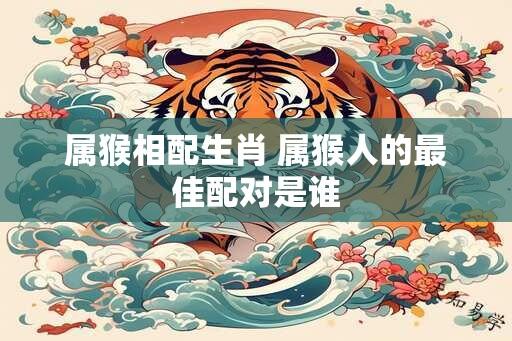 属猴相配生肖 属猴人的最佳配对是谁