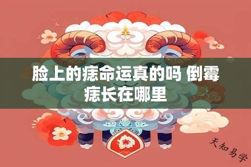 脸上的痣命运真的吗 倒霉痣长在哪里