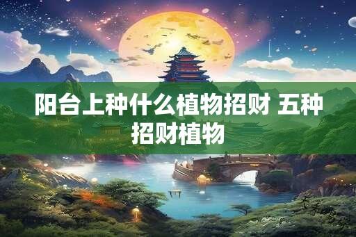 阳台上种什么植物招财 五种招财植物