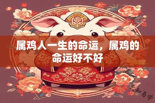 属鸡人一生的命运，属鸡的命运好不好