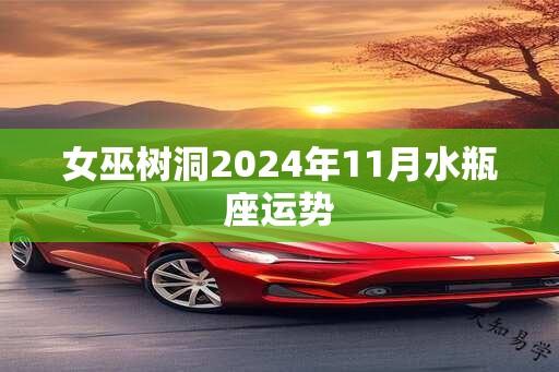 女巫树洞2024年11月水瓶座运势