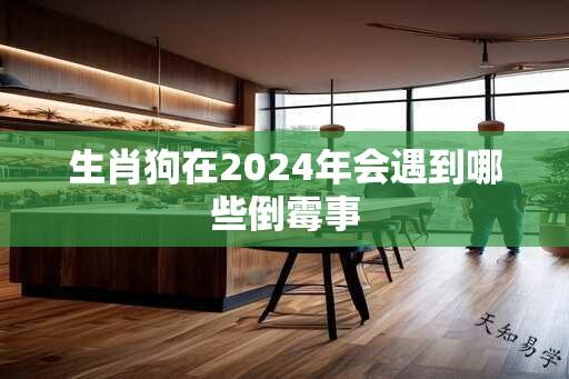 生肖狗在2025年会遇到哪些倒霉事