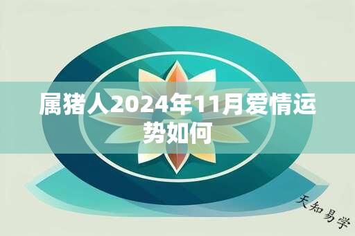 属猪人2024年11月爱情运势如何