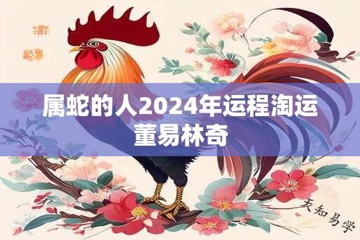 属蛇的人2024年运程淘运董易林奇