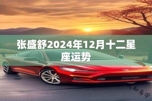 张盛舒2024年12月十二星座运势