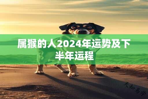 属猴的人2024年运势及下半年运程