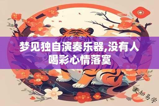 梦见独自演奏乐器,没有人喝彩心情落寞