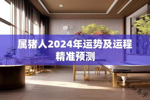 属猪人2024年运势及运程精准预测