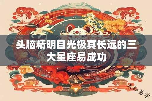 头脑精明目光极其长远的三大星座易成功