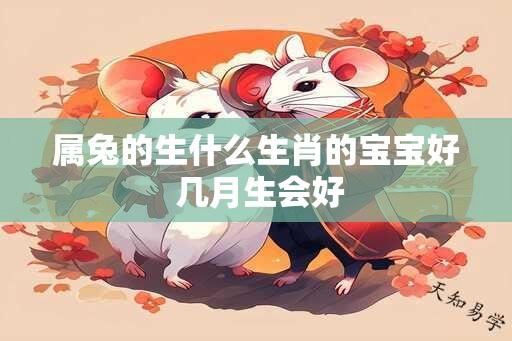 属兔的生什么生肖的宝宝好 几月生会好