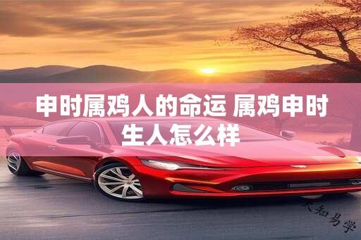 申时属鸡人的命运 属鸡申时生人怎么样