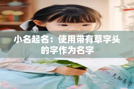 小名起名：使用带有草字头的字作为名字