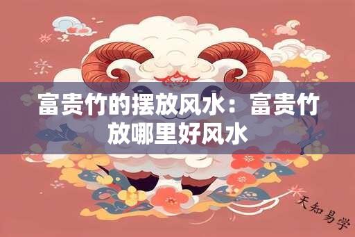 富贵竹的摆放风水：富贵竹放哪里好风水