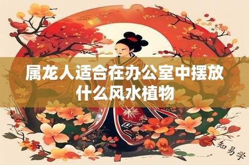 属龙人适合在办公室中摆放什么风水植物