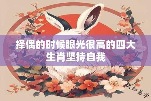 择偶的时候眼光很高的四大生肖坚持自我