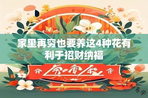 家里再穷也要养这4种花有利于招财纳福