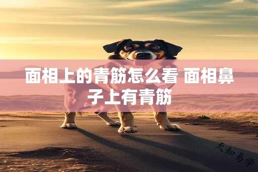 面相上的青筋怎么看 面相鼻子上有青筋