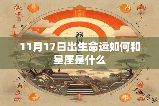 11月17日出生命运如何和星座是什么