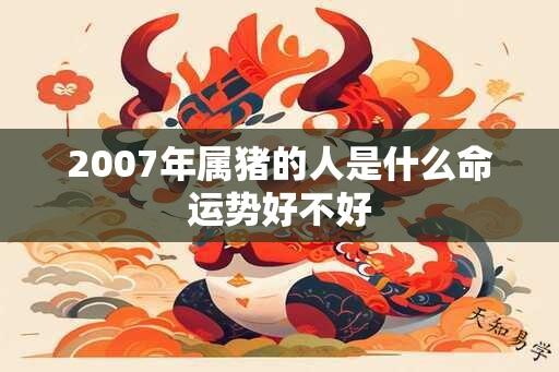 2007年属猪的人是什么命运势好不好