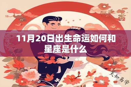 11月20日出生命运如何和星座是什么