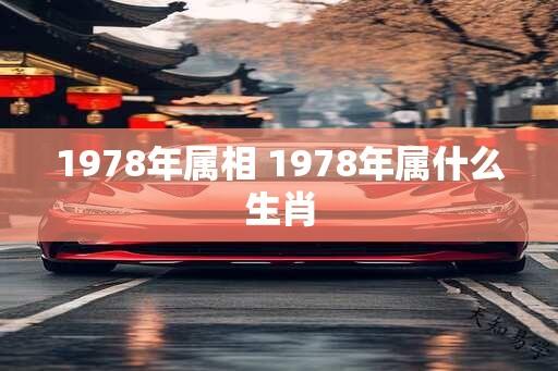 1978年属相 1978年属什么生肖