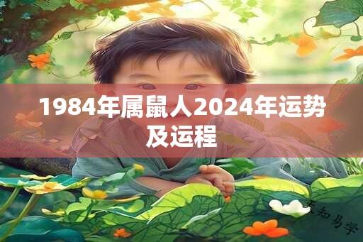 1984年属鼠人2024年运势及运程