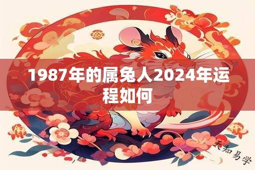 1987年的属兔人2024年运程如何