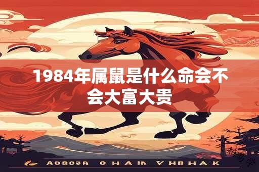 1984年属鼠是什么命会不会大富大贵