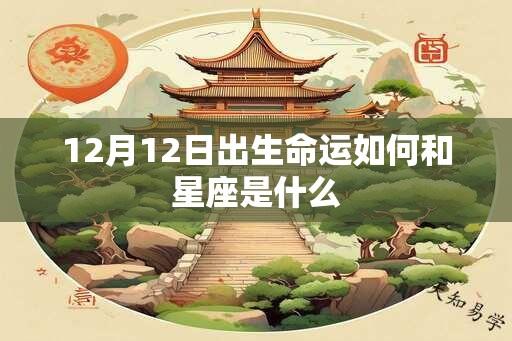 12月12日出生命运如何和星座是什么