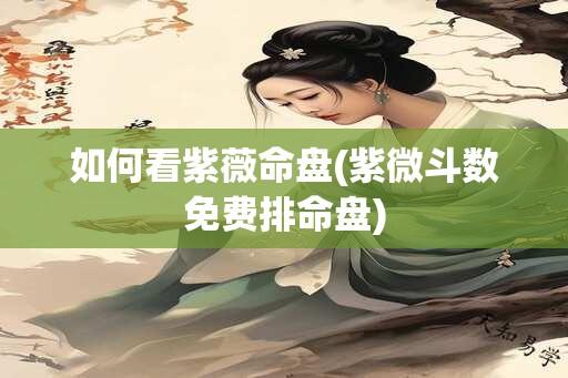 如何看紫薇命盘(紫微斗数免费排命盘)