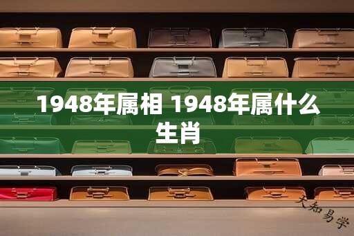 1948年属相 1948年属什么生肖