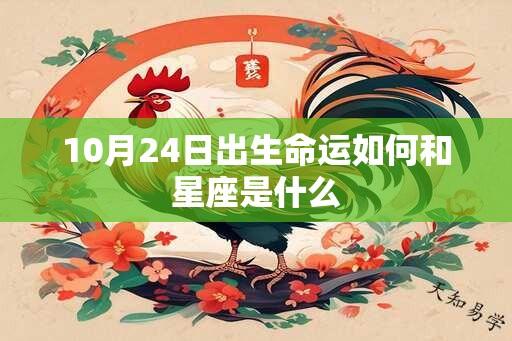 10月24日出生命运如何和星座是什么