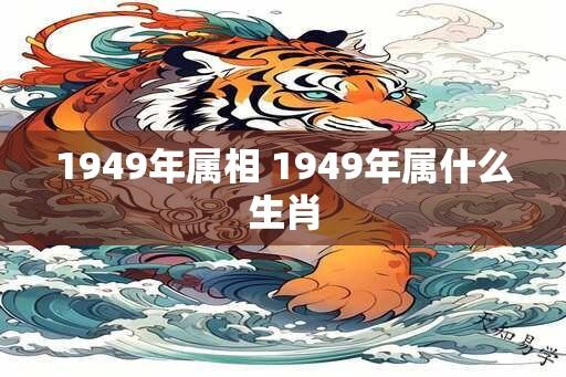 1949年属相 1949年属什么生肖