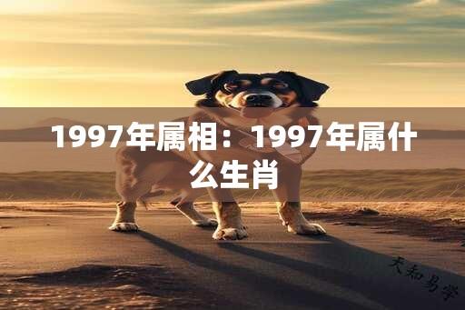 1997年属相：1997年属什么生肖