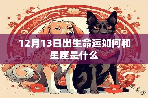 12月13日出生命运如何和星座是什么