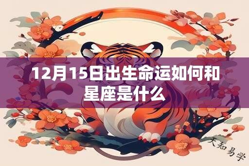 12月15日出生命运如何和星座是什么