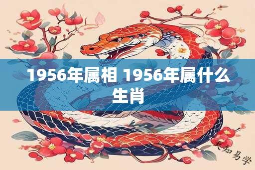 1956年属相 1956年属什么生肖