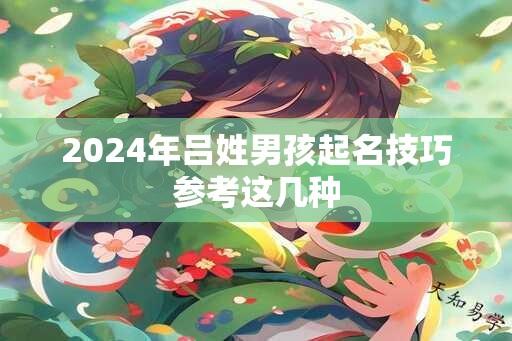 2024年吕姓男孩起名技巧参考这几种